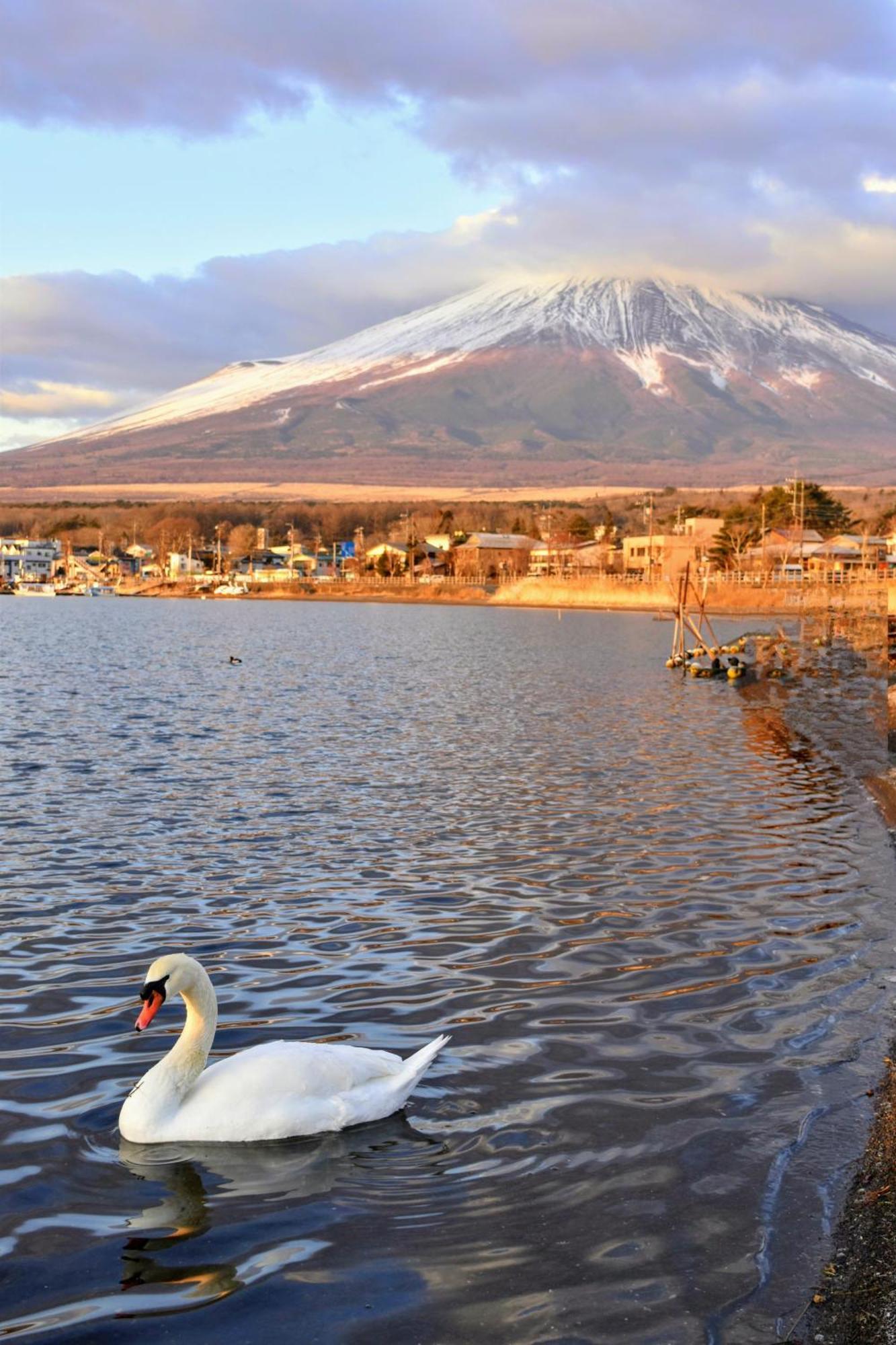 Hotel Mt. Fuji Yamanakako Exteriér fotografie