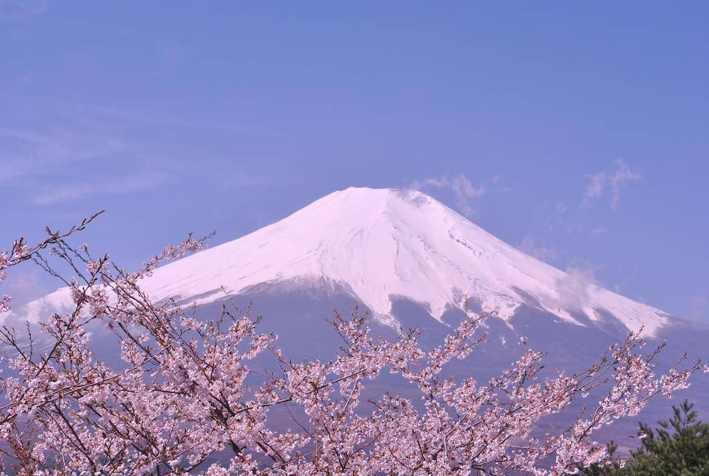 Hotel Mt. Fuji Yamanakako Exteriér fotografie